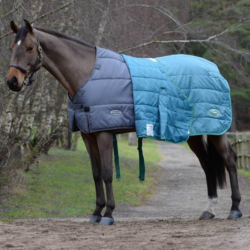 A horse in a Weatherbeeta Green-Tec Liner Medium/Light Weight Grey stands on a dirt path.