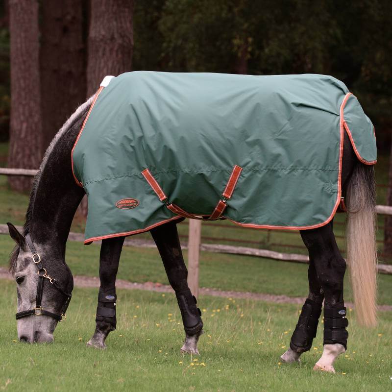 Gray horse grazing in a green Weatherbeeta Comfitec Tyro standard neck medium weight blanket.