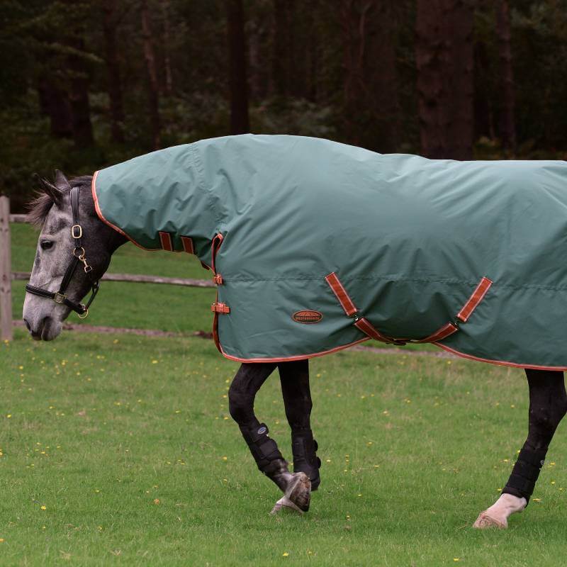 A horse in a Weatherbeeta Comfitec Tyro green rug walks on grass in a fenced area.