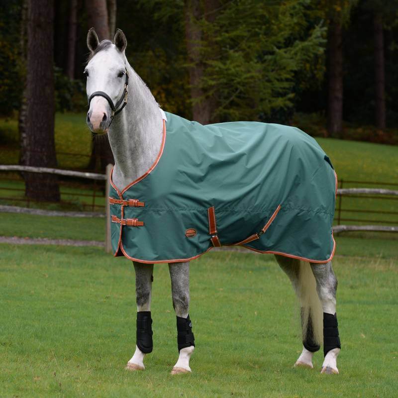 A gray horse wears a Weatherbeeta Comfitec Tyro Lite Plus in green near trees and a wooden fence.