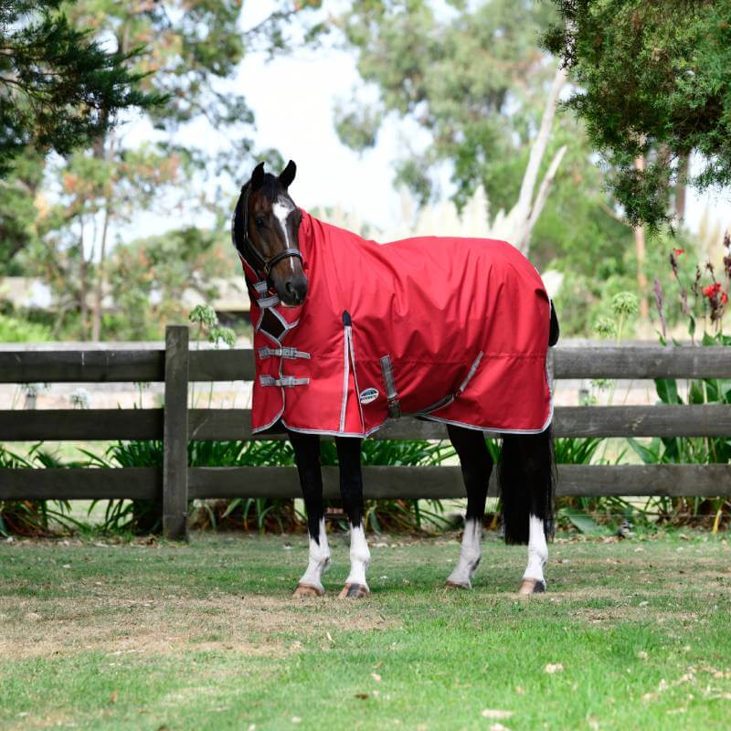 A horse in a red Weatherbeeta Comfitec Classic Combo Neck Lite Plus stands on grass by a fence.