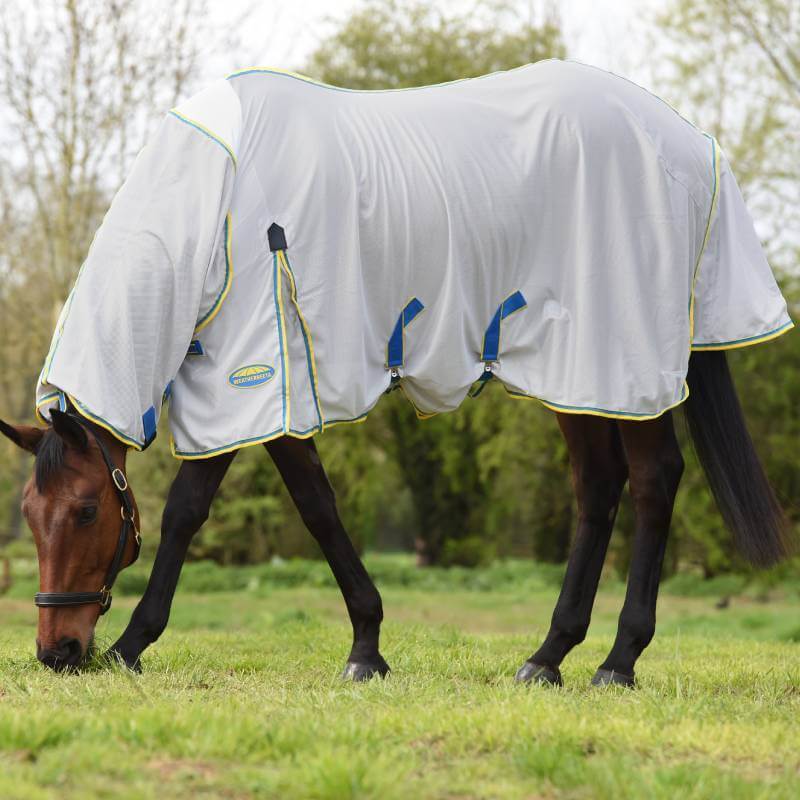 A horse in a Weatherbeeta Comfitec Zephyr Plus Mesh Combo Neck grazes outdoors.