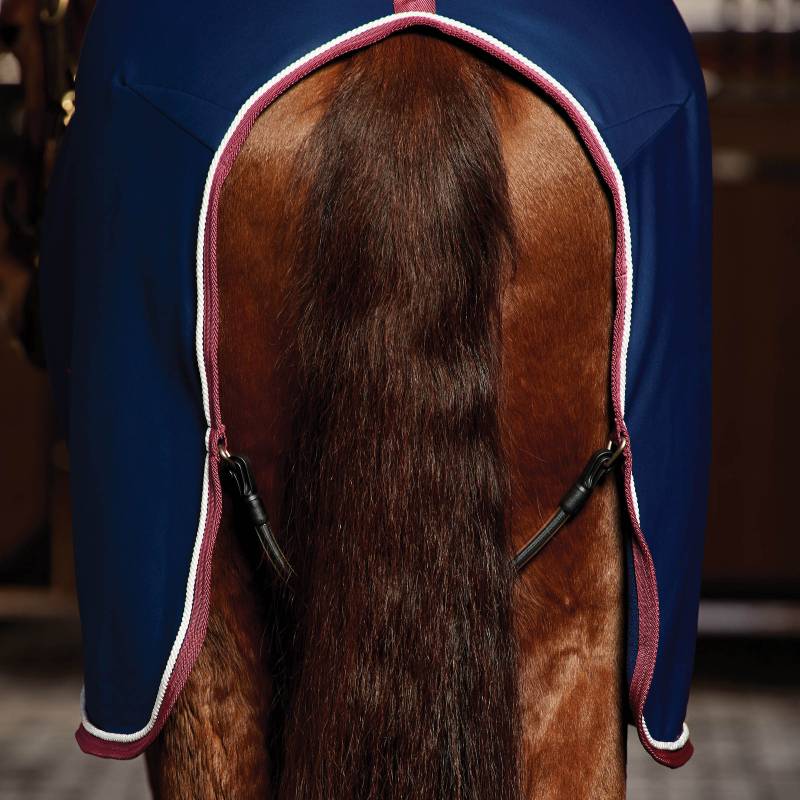 Close-up of a horse’s hindquarters in a Weatherbeeta Opulence Show Sheet Standard Neck Navy/Burgundy.