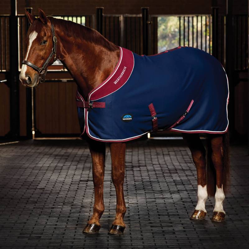A brown horse in a Weatherbeeta Opulence Show Sheet Navy/Burgundy stands in a stable.