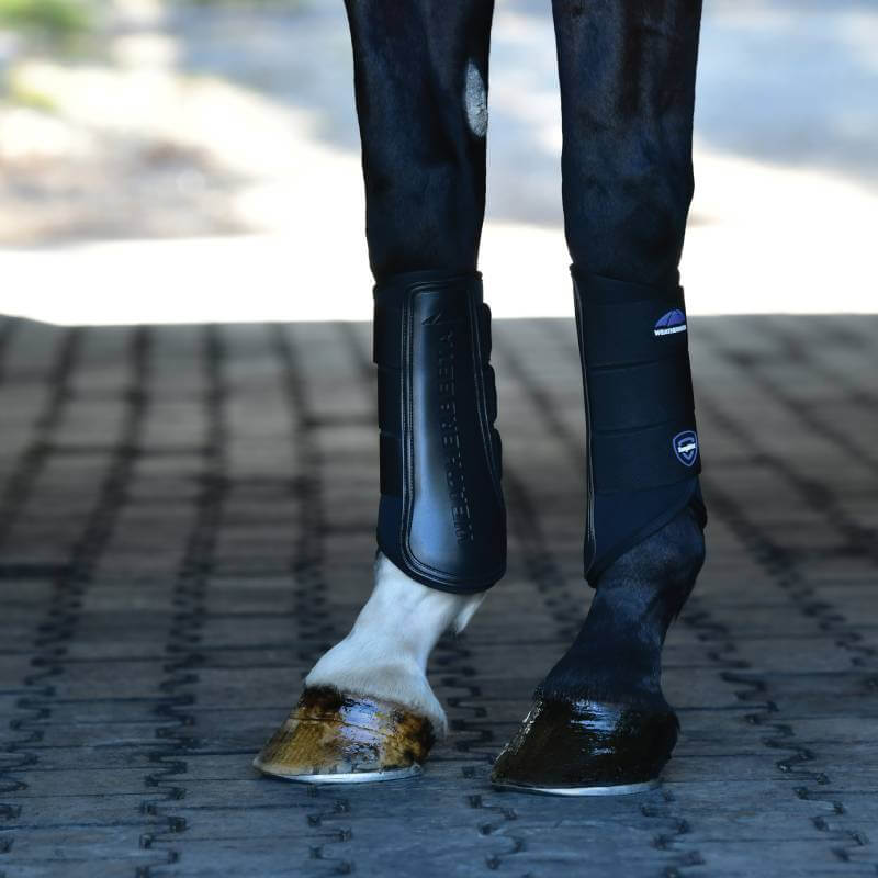 Close-up of horse’s legs in Weatherbeeta Tough-Tec Prime Brushing Boots Black/Black on pavement.