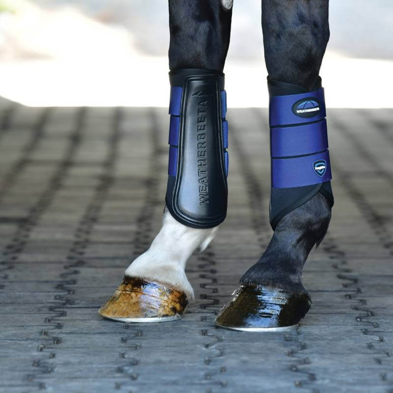 Close-up of Weatherbeeta Tough-Tec Prime Brushing Boots Black/Cobalt on horse legs.