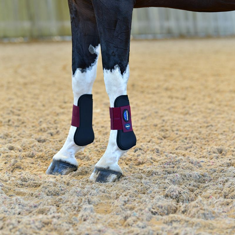 Horse legs in Weatherbeeta Tough-Tec Prime Open Front Boots Black/Burgundy on sandy ground.