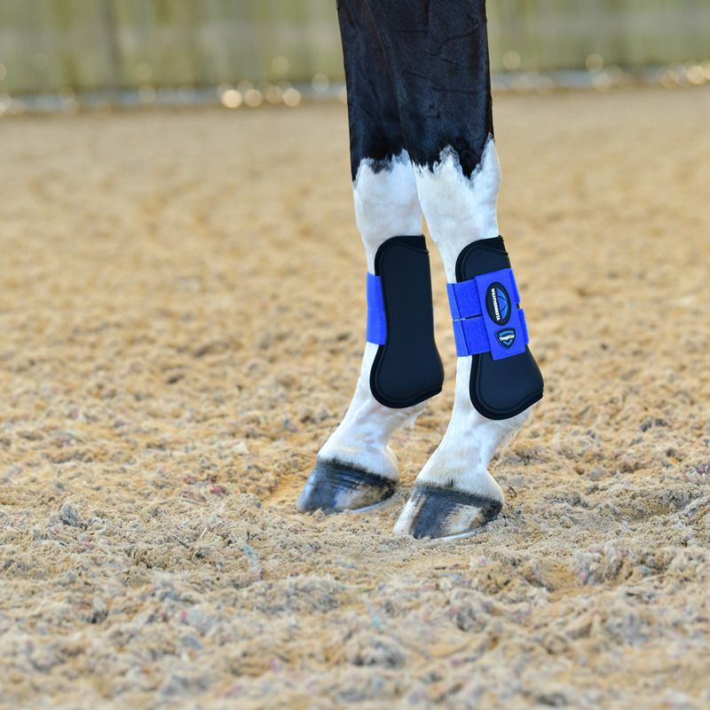 Horse legs wear Weatherbeeta Tough-Tec Open Front Boots Black/Cobalt on sandy ground.