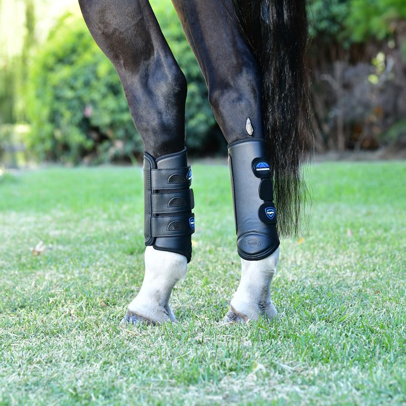 Close-up of Weatherbeeta Tough-Tec Eventing Hind Boots Black on a horse's legs, on green grass.