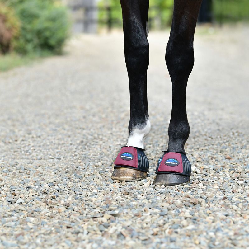 Weatherbeeta Tough-Tec Prime Rubber Bell Boots in Black/Burgundy with overreach protection.