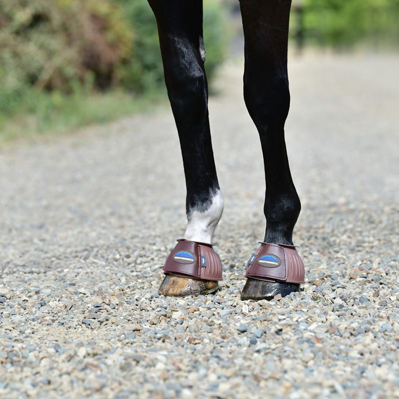 A horse wears Weatherbeeta Tough-Tec Prime Rubber Bell Boots Brown/Brown on a gravel path.