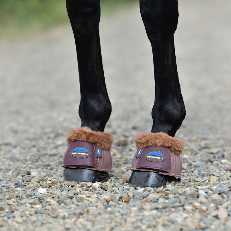 Weatherbeeta Tough-Tec Prime Fleece Trim Bell Boots (Brown) protect a black horse’s front hooves.