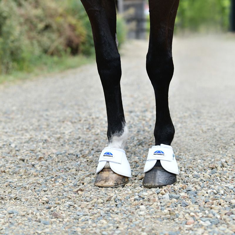 A horse wears Weatherbeeta Tough-Tec Anatomical Bell Boots White on a gravel path.