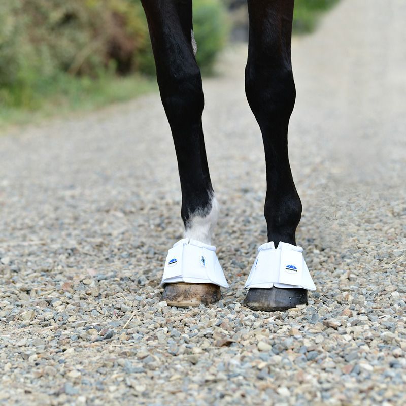 Horse legs with Weatherbeeta Tough-Tec Impact Bell Boots White on a gravel path.