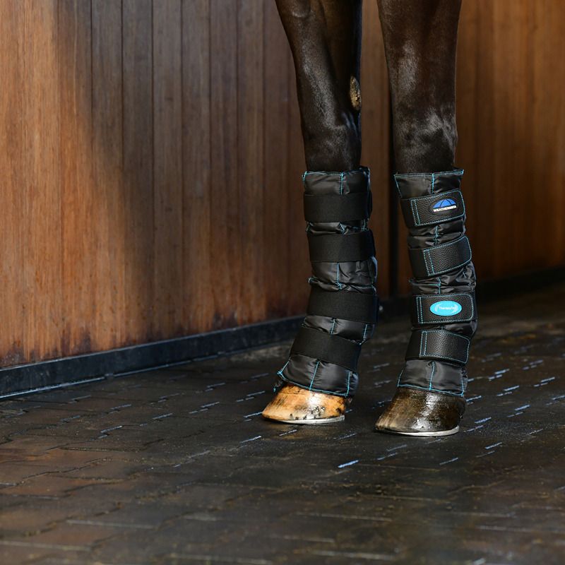 Weatherbeeta Therapy-Tec II Gel Ice Boots on horse legs by a wooden wall and tiled floor.