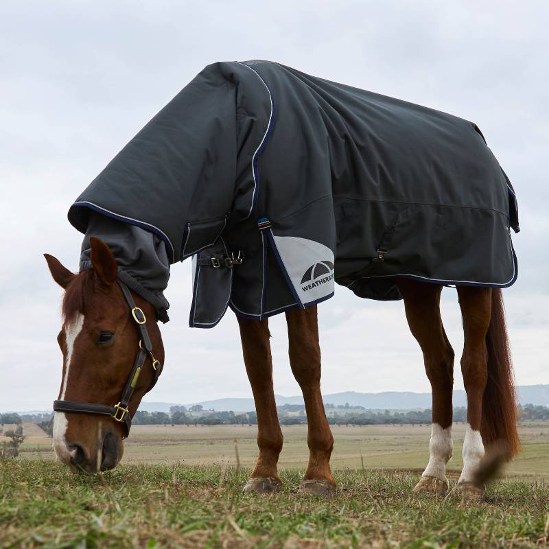 A horse in a Weatherbeeta Comfitec Ultra Detach-A-Neck 220g Charcoal rug stands in a field.