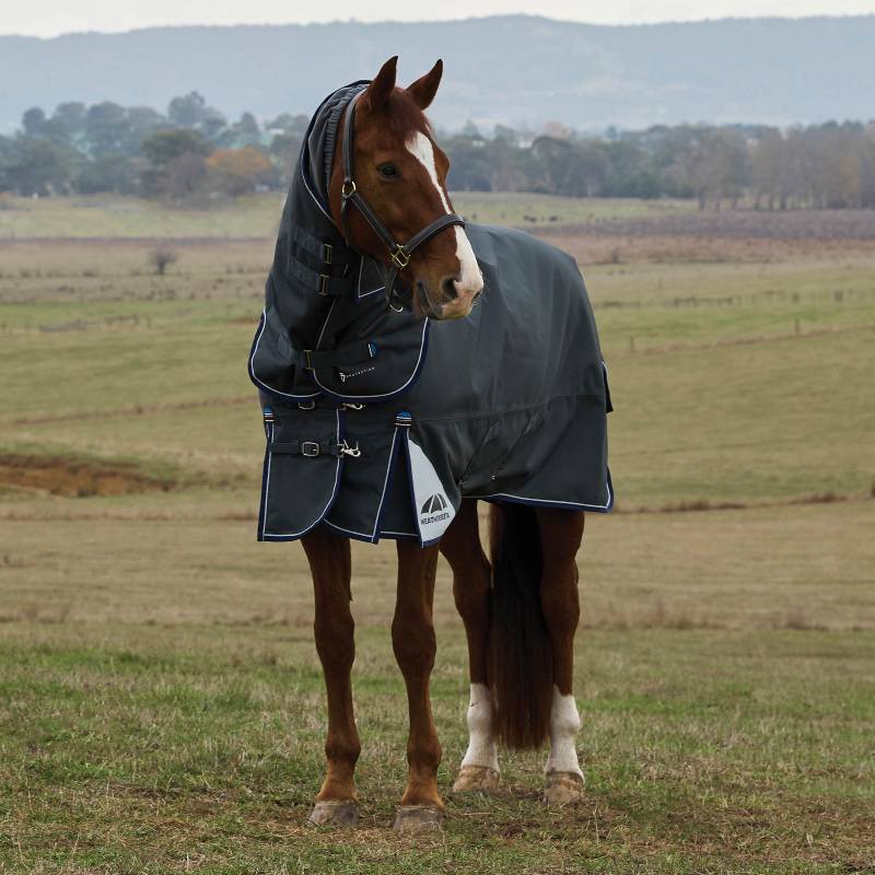Brown horse in Weatherbeeta Comfitec Ultra 220g Turnout Rug stands in a grassy field.