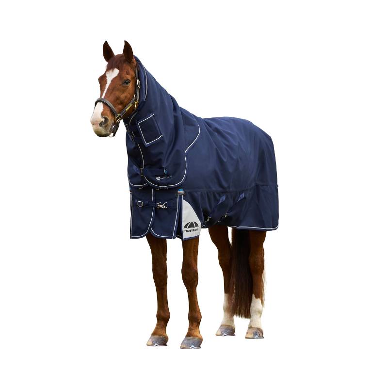 Brown horse in a navy Weatherbeeta Comfitec Ultra Detach-A-Neck 220g rug with white trim.