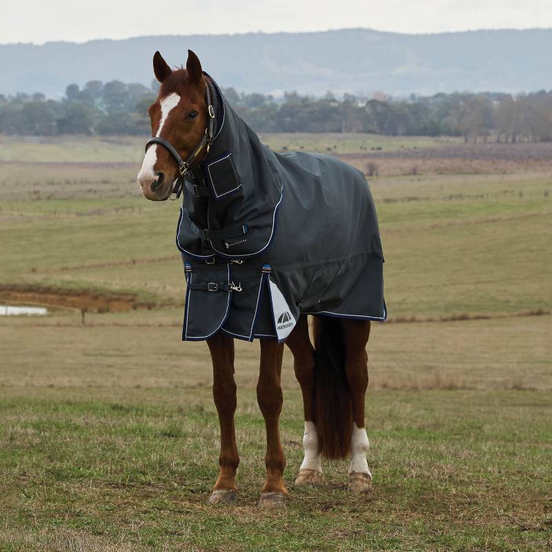 Weatherbeeta Comfitec Ultra Detach-A-Neck Medium Light Weight Turnout Rug 100g Charcoal