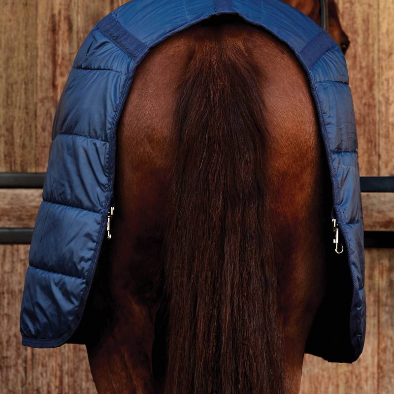 A horse in a Weatherbeeta Comfitec Liner 50g Navy stands against a wooden background.