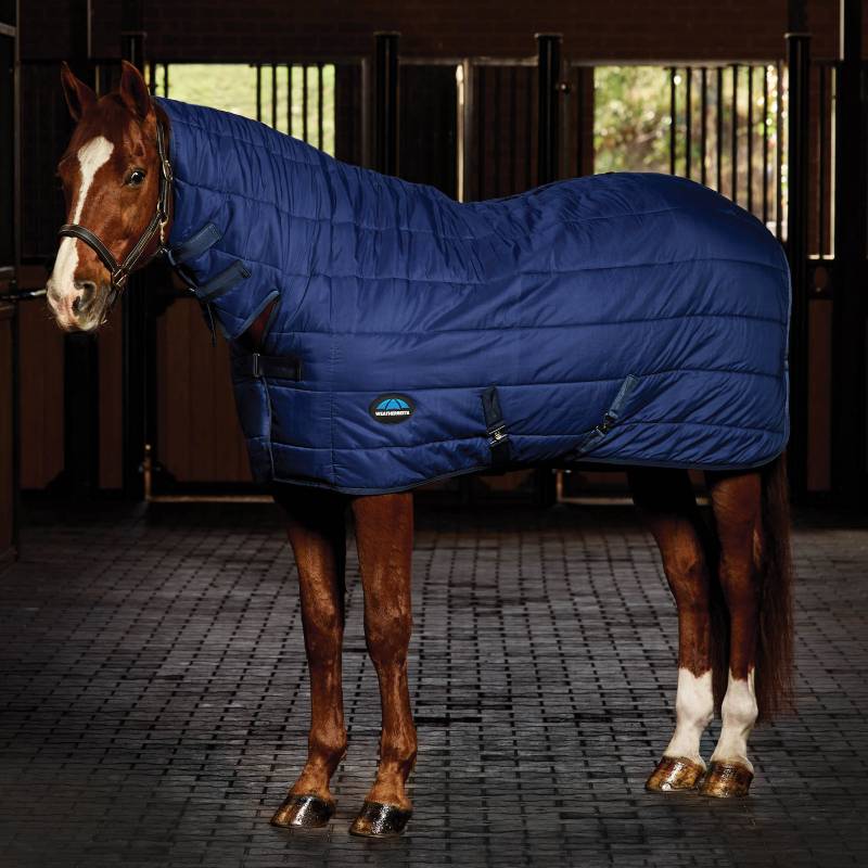 Chestnut horse in a navy Weatherbeeta Comfitec Under Rug Combo Neck 220g stands in the stable.