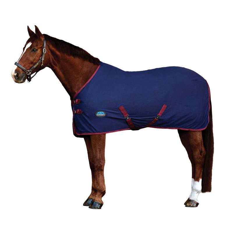 A brown horse in a Weatherbeeta Cotton Sheet Standard Neck Navy/Burgundy stands sideways.