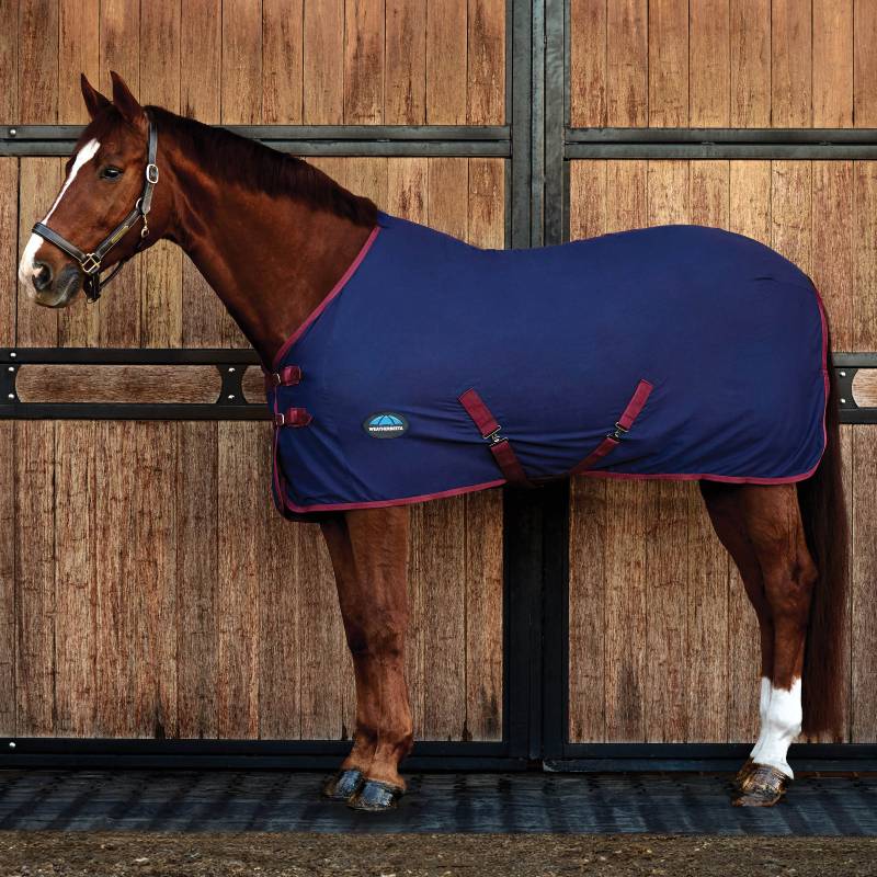 A horse wears a Weatherbeeta Cotton Sheet Standard Neck Navy/Burgundy before stable doors.