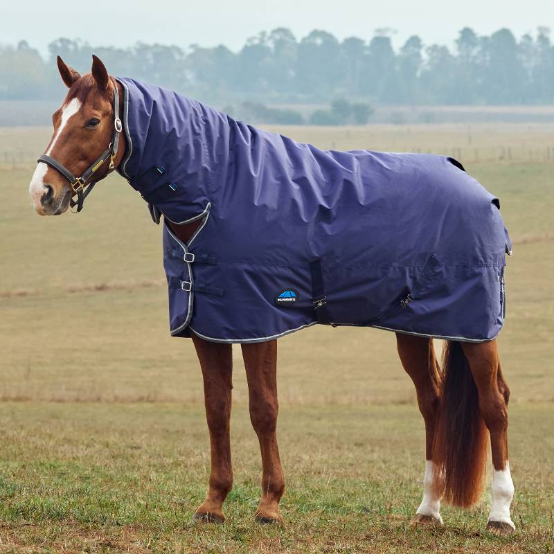 A horse in a Weatherbeeta Comfitec Tyro Combo Neck Turnout Rug stands in a cloudy field.