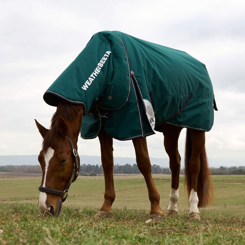Weatherbeeta Comfitec Plus Dynamic Turnout Rug Detach-A-Neck Heavy Weight 360G Forest Green/Navy