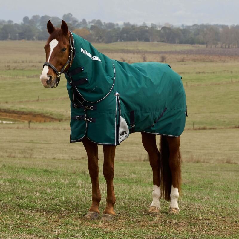 Weatherbeeta Comfitec Plus Dynamic Turnout Rug Detach-A-Neck Heavy Weight 360G Forest Green/Navy