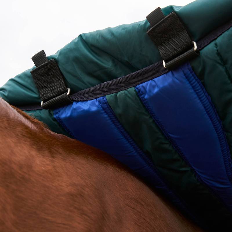 Close-up of a horse in a Weatherbeeta Comfitec Plus Dynamic rug with detachable neck, Navy/Green.