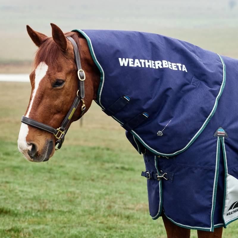 Horse wearing Weatherbeeta Comfitec Plus Dynamic Detach-A-Neck Rug in Navy/Forest Green.
