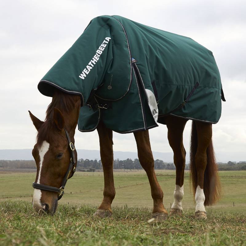 A brown horse grazes in a grassy field in a Weatherbeeta green turnout rug.