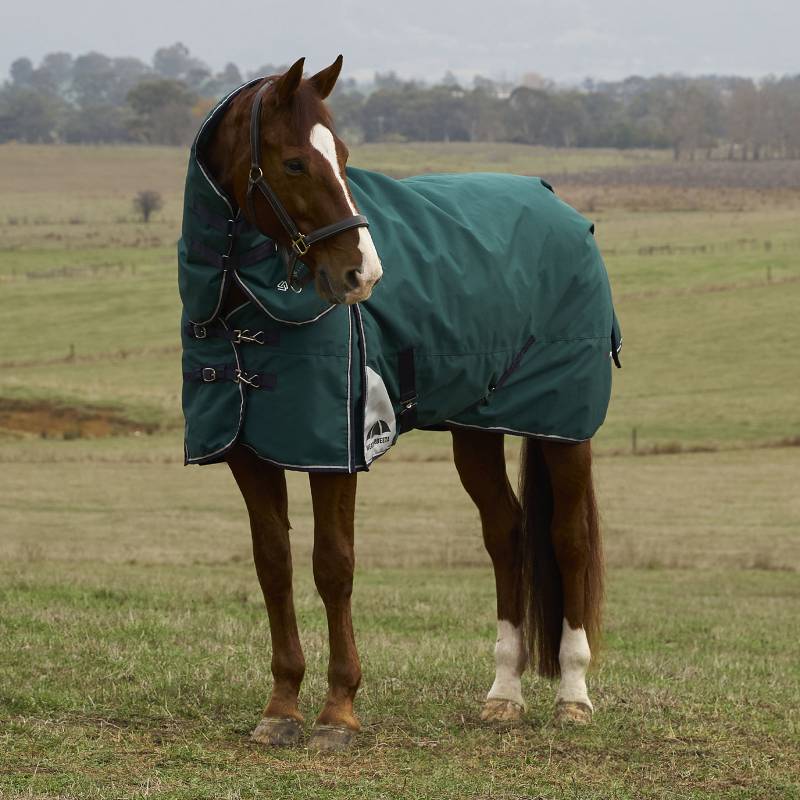 A brown horse in a field wears a Weatherbeeta green Comfitec turnout rug for protection.