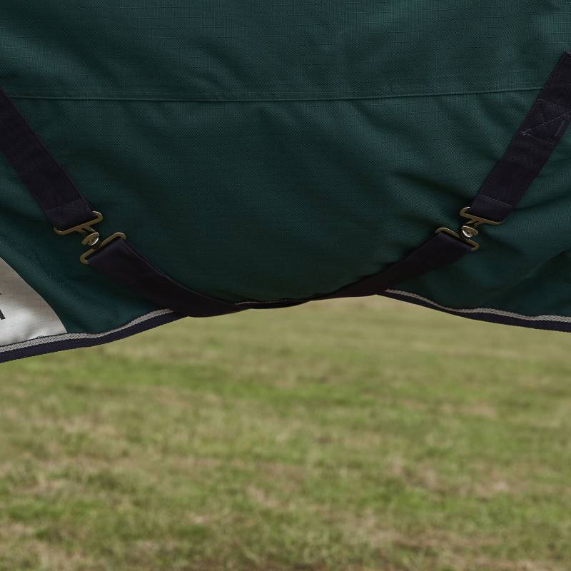 Close-up of Weatherbeeta Comfitec Plus Dynamic Turnout Rug 100g in green/navy on grass.