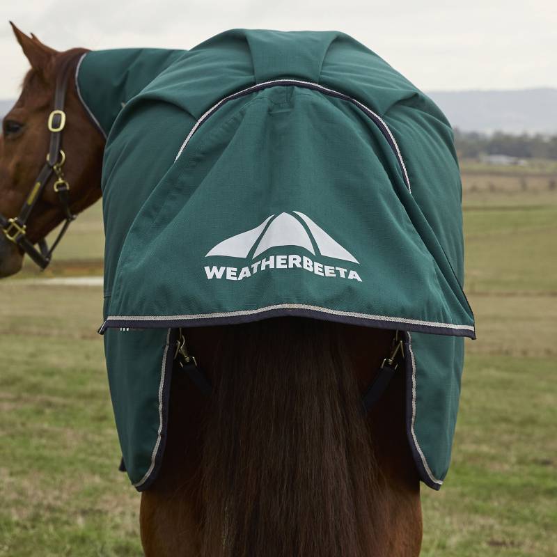 A horse wears a Weatherbeeta Comfitec Plus Dynamic rug in Forest Green/Navy in a grassy field.