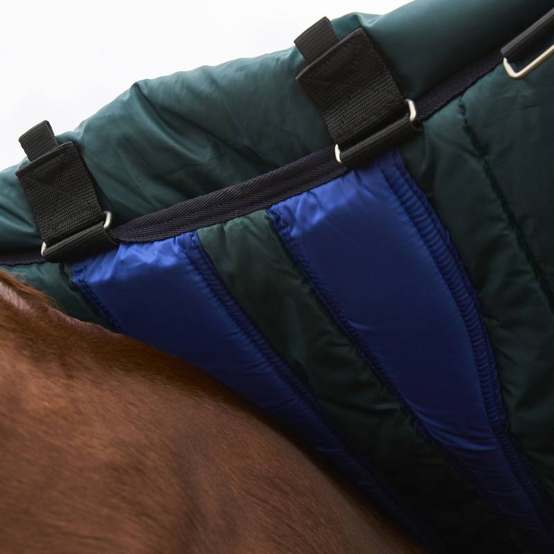 Weatherbeeta Comfitec Plus Dynamic Turnout Rug 100g in green/navy on a brown horse’s back.