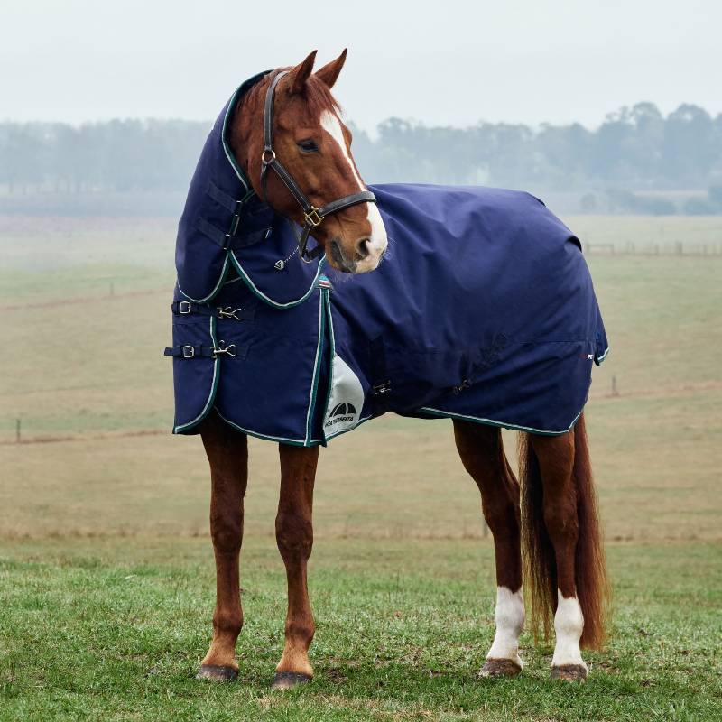 A brown horse in a Weatherbeeta navy/green turnout rug stands on grass in a field.