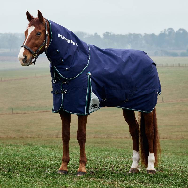 A brown horse in a Weatherbeeta navy/green turnout rug stands on grass in a field.