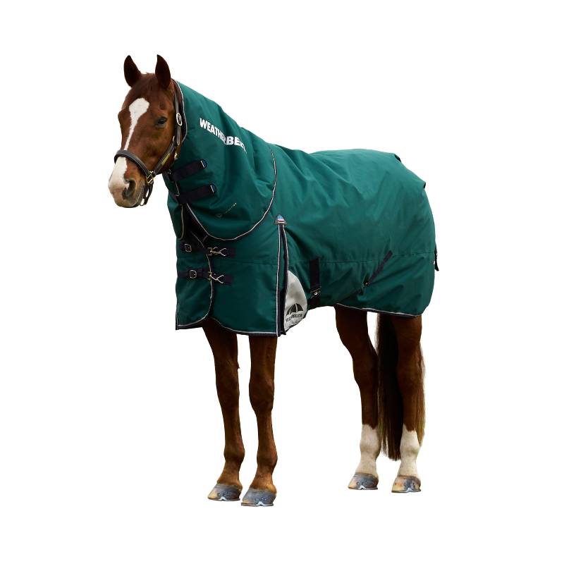 Brown horse in a green Weatherbeeta turnout rug and black halter on a white background.
