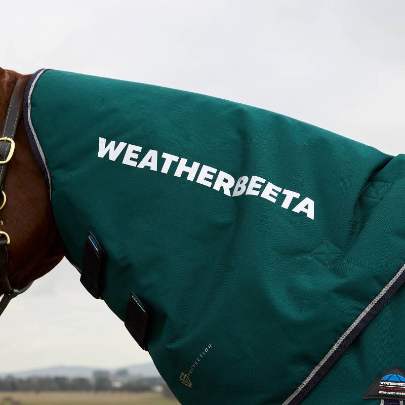 Close-up of a horse in a Weatherbeeta Comfitec Plus Dynamic Rug in Forest Green/Navy outdoors.