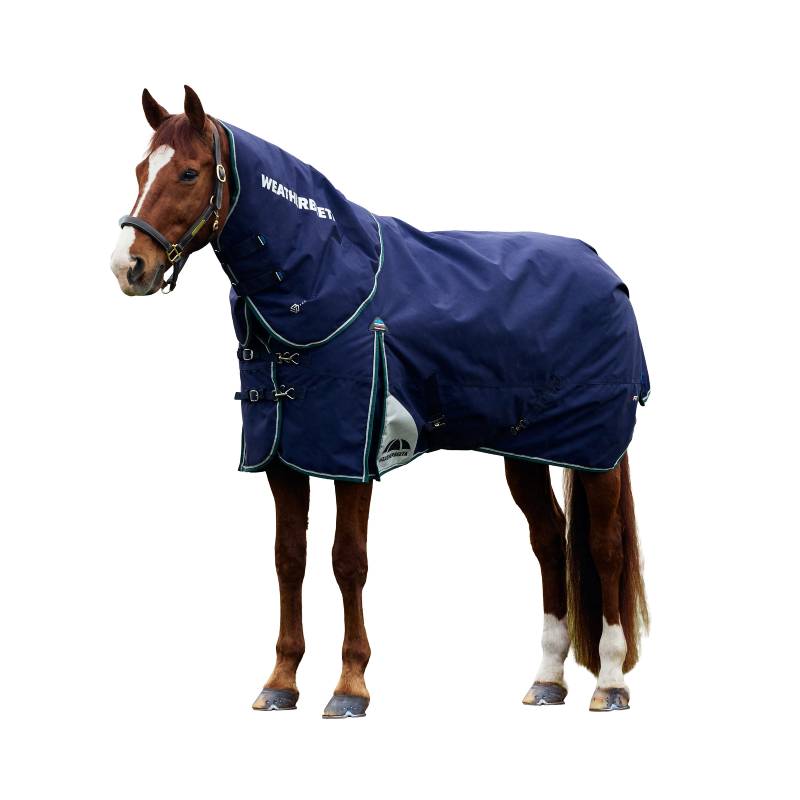 Brown horse in a Weatherbeeta Comfitec Plus Dynamic rug, navy/forest green, on white background.