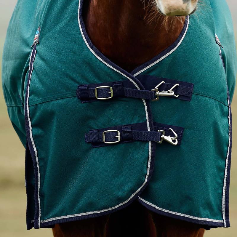 Horse in a green Weatherbeeta Comfitec Plus Dynamic turnout rug with chest buckles.