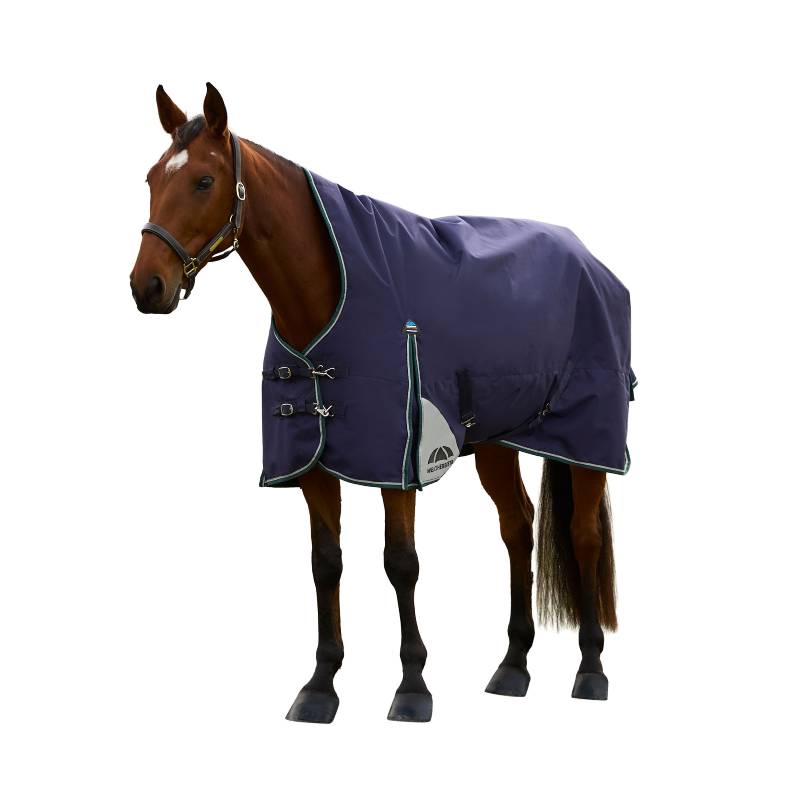 A horse wears a Weatherbeeta navy/green Comfitec Plus Dynamic rug, standing on a white background.