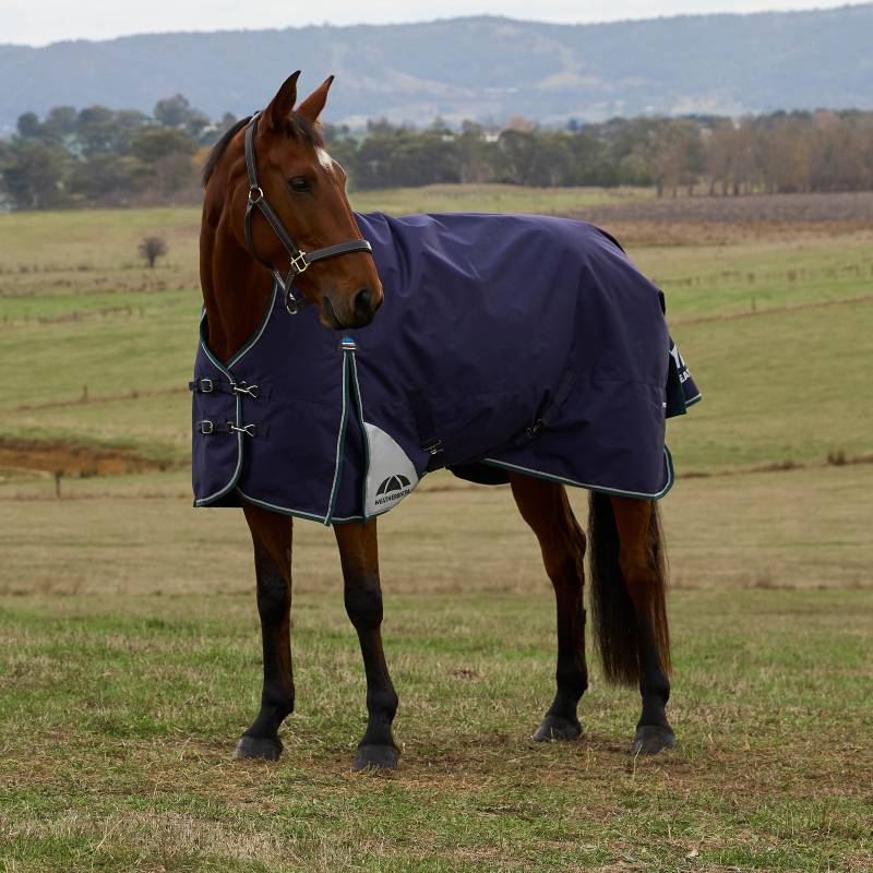 A brown horse in a Weatherbeeta turnout rug stands in a grassy field with hills behind.