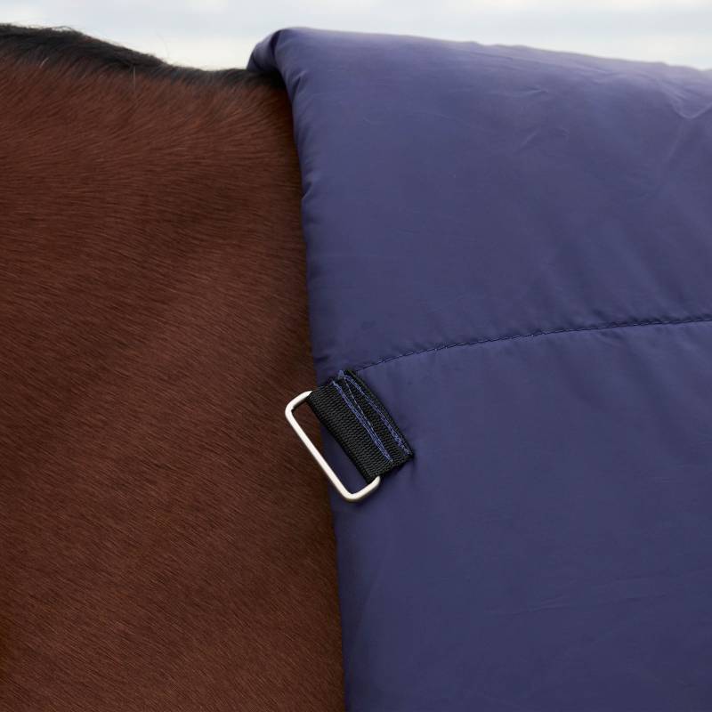 Close-up of a horse in a Weatherbeeta Comfitec Plus Dynamic rug in navy/forest green, 220g.