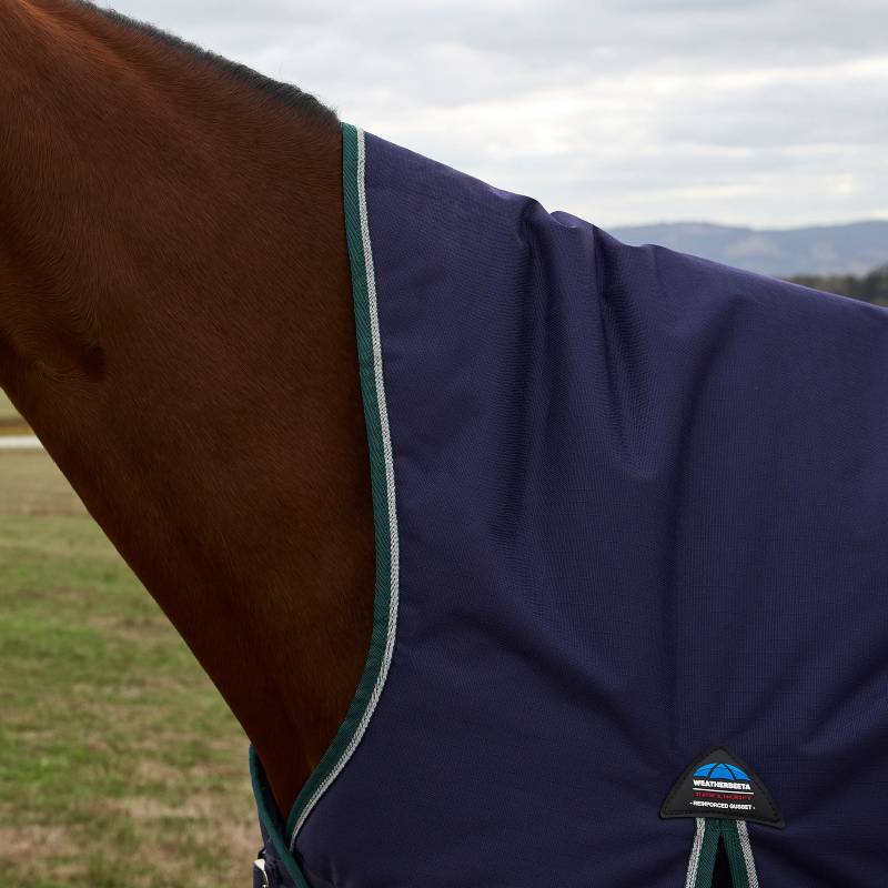 Weatherbeeta horse in navy/forest green turnout rug, standing on grass under cloudy skies.