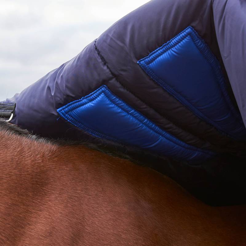 Close-up of a brown horse in a Weatherbeeta Comfitec Plus Dynamic Navy/Forest Green turnout rug.