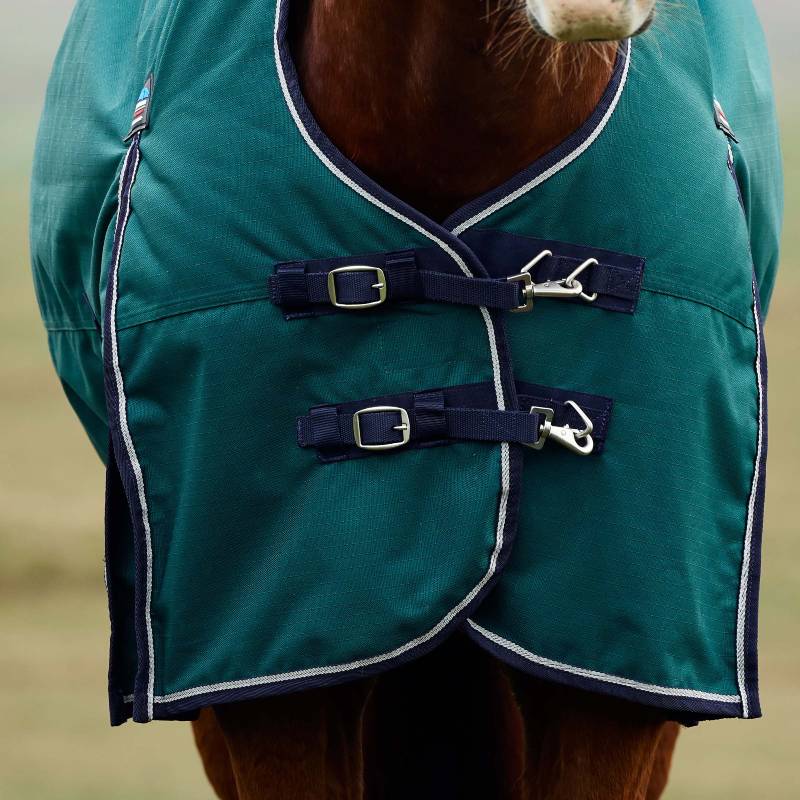 Close-up of a horse in a Weatherbeeta Comfitec Plus Dynamic 100g High Neck Turnout Rug.