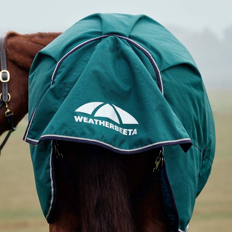 A horse wears a green Weatherbeeta Comfitec Plus Dynamic high neck turnout rug.